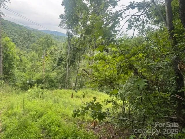 000 Satellite Mountain Road Burnsville, NC 28714