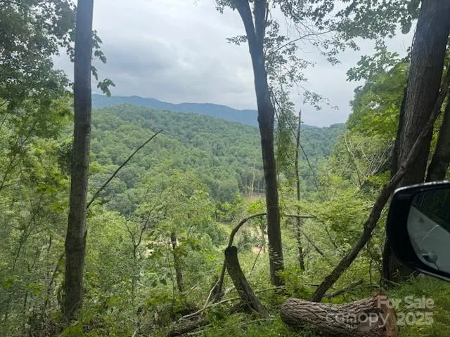 000 Satellite Mountain Road Burnsville, NC 28714