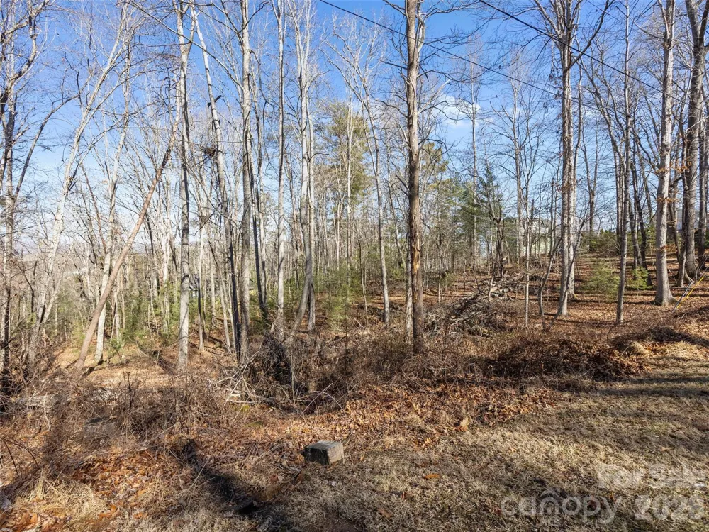 Lot 7 Mountain Heritage Place Candler, NC 28715