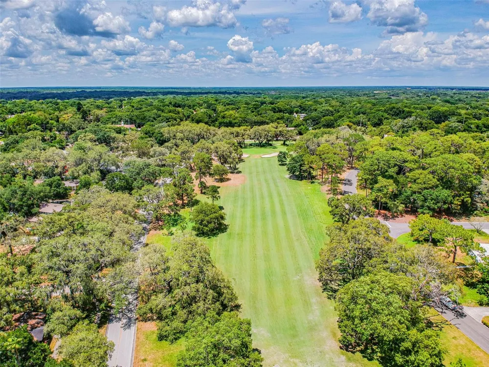 308 BRENTWOOD DRIVE Temple Terrace, FL 33617