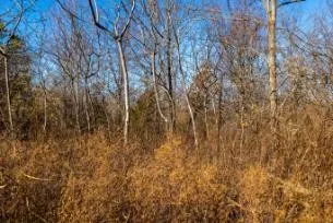 0 White Oak Rd Stewart, TN 37175