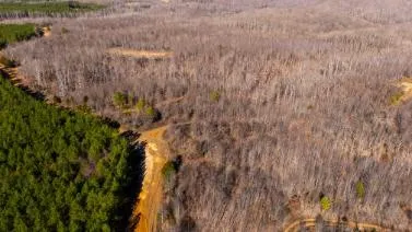 0 White Oak Rd Stewart, TN 37175