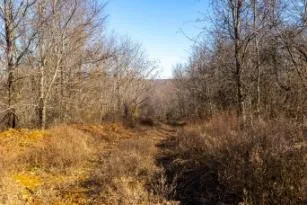 0 White Oak Rd Stewart, TN 37175