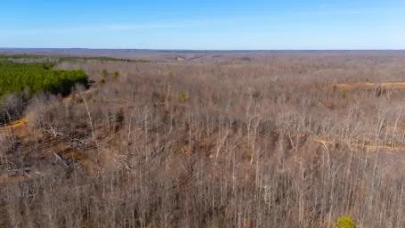 0 White Oak Rd Stewart, TN 37175