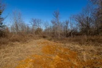 0 White Oak Rd Stewart, TN 37175