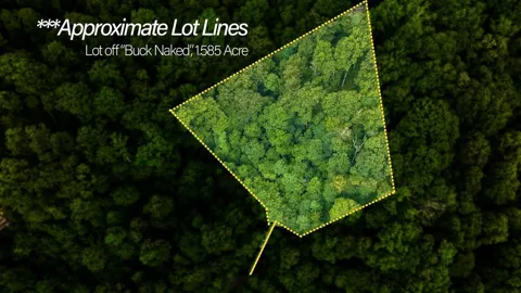 Lot Off Buck Naked