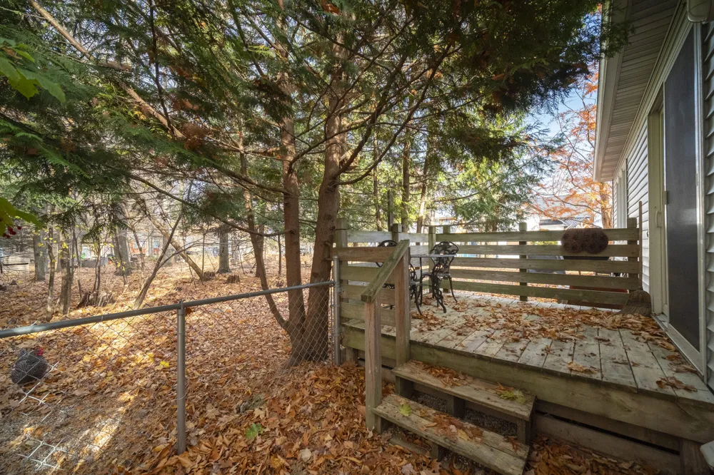 13200 Hopkins Forest Drive Bear Lake, MI 49614