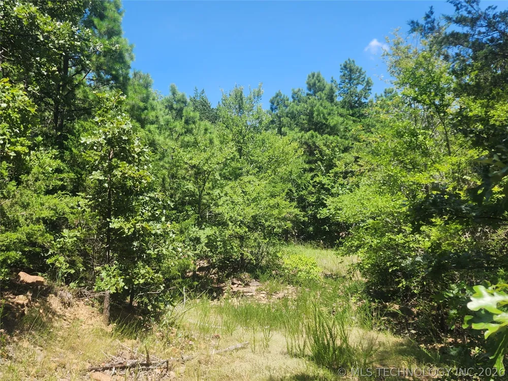 SE State Highway 63 Talihina, OK 74571