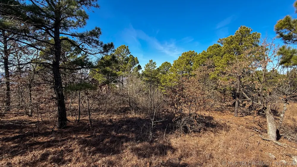 Burris Valley Road Pittsburg, OK 74560