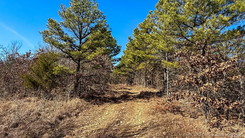 Burris Valley Road Pittsburg, OK 74560