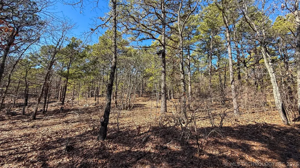 Burris Valley Road Pittsburg, OK 74560