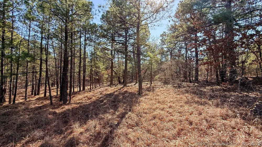 Burris Valley Road Pittsburg, OK 74560