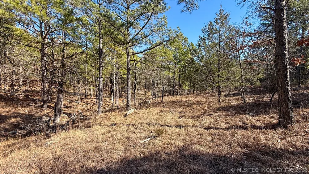 Burris Valley Road Pittsburg, OK 74560