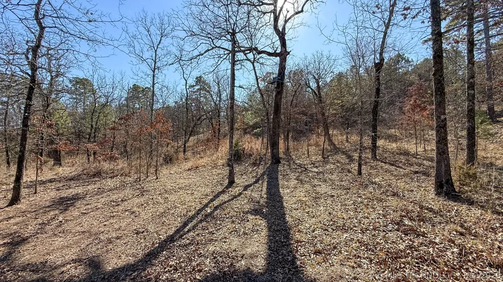 Burris Valley Road Pittsburg, OK 74560