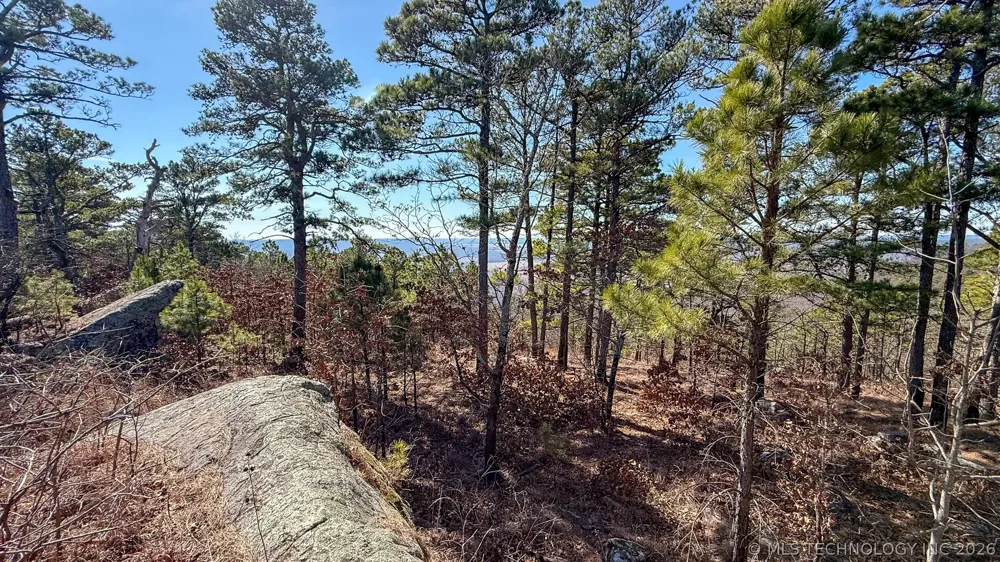 Burris Valley Road Pittsburg, OK 74560