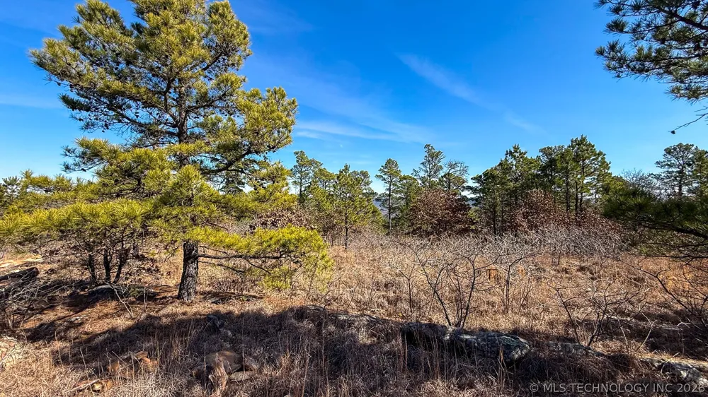 Burris Valley Road Pittsburg, OK 74560