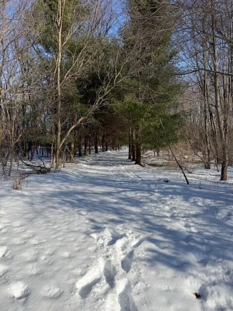 Warner Road