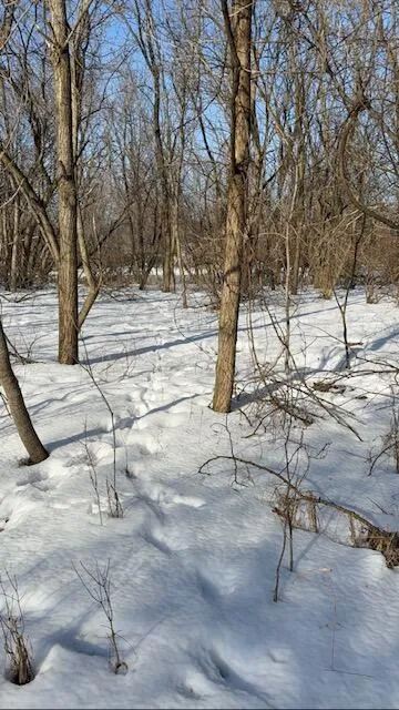 Warner Road Laingsburg, MI 48848