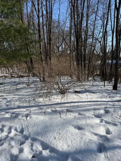 Warner Road Laingsburg, MI 48848