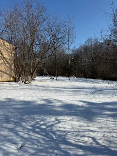 Warner Road Laingsburg, MI 48848