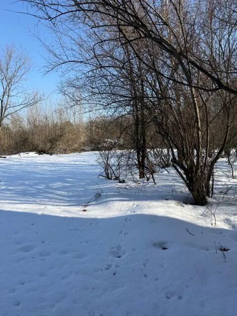 Warner Road Laingsburg, MI 48848