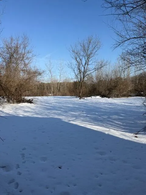 Warner Road Laingsburg, MI 48848