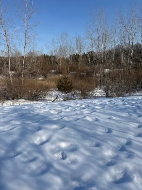 Warner Road Laingsburg, MI 48848