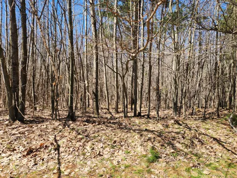 W Starlight Ridge Circle #62