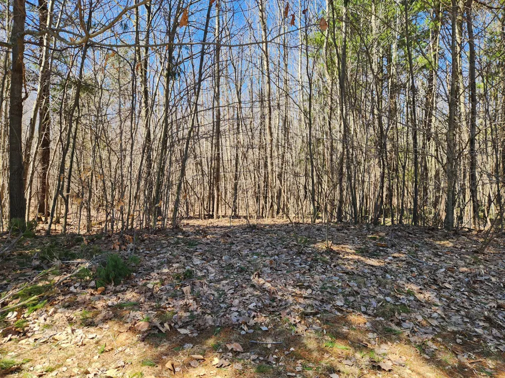 W Starlight Ridge Circle #62 Onekama, MI 49675