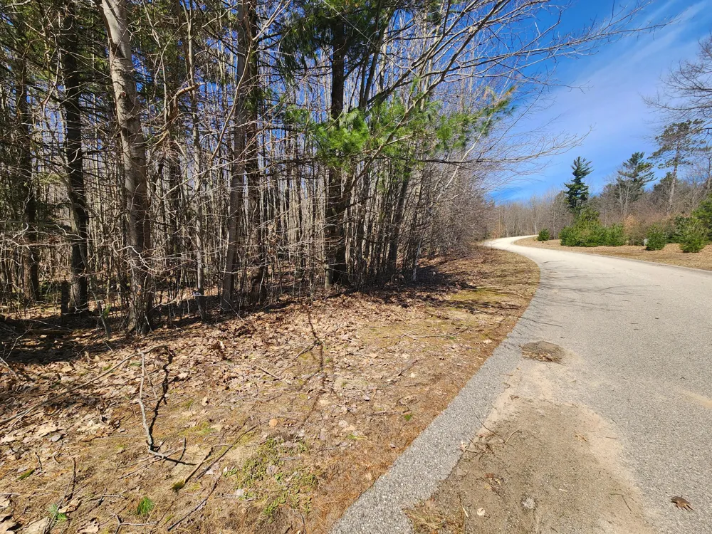 W Starlight Ridge Circle #62 Onekama, MI 49675
