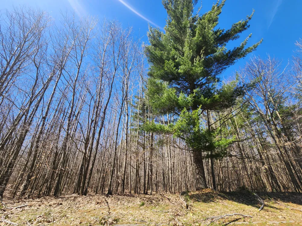 W Starlight Ridge Circle #62 Onekama, MI 49675