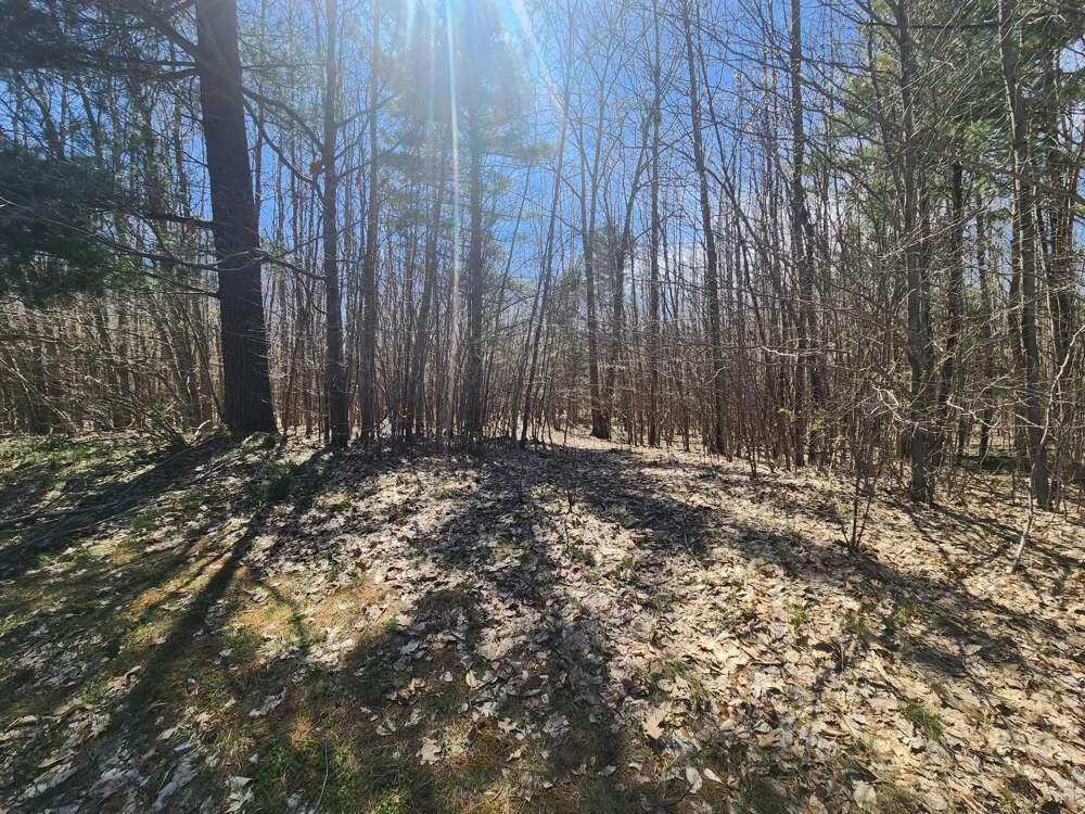 W Starlight Ridge Circle #62 Onekama, MI 49675