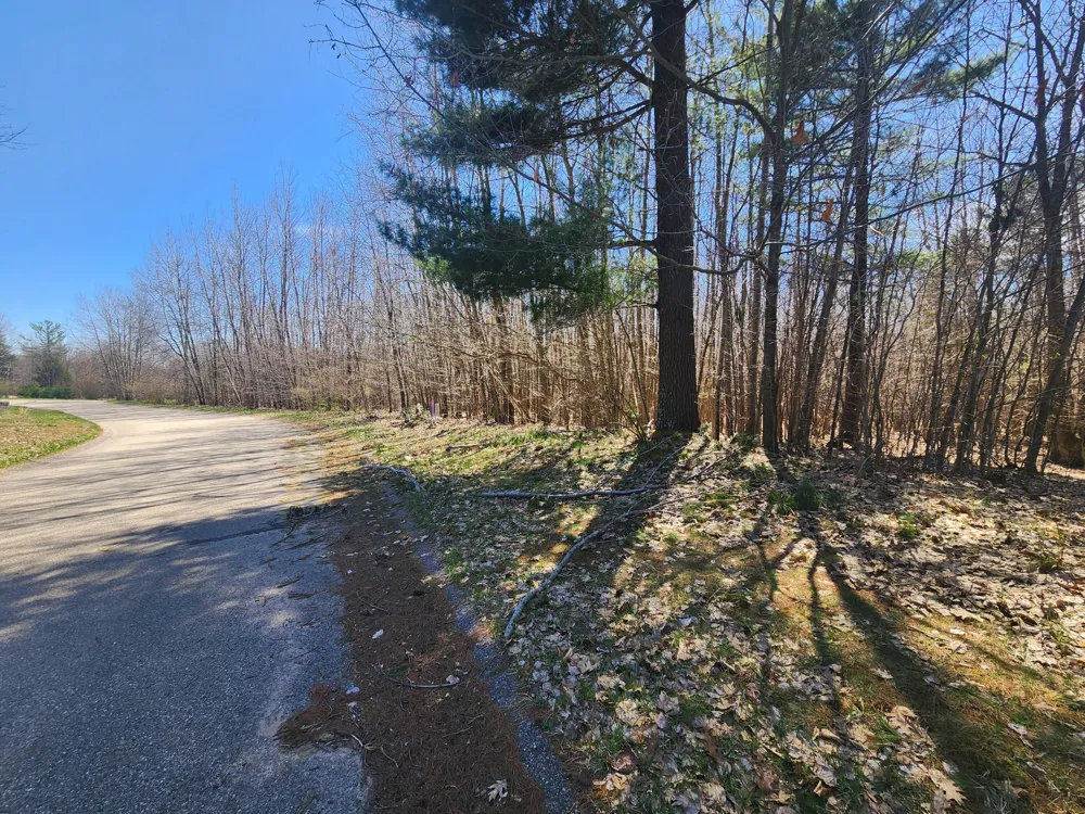 W Starlight Ridge Circle #62 Onekama, MI 49675
