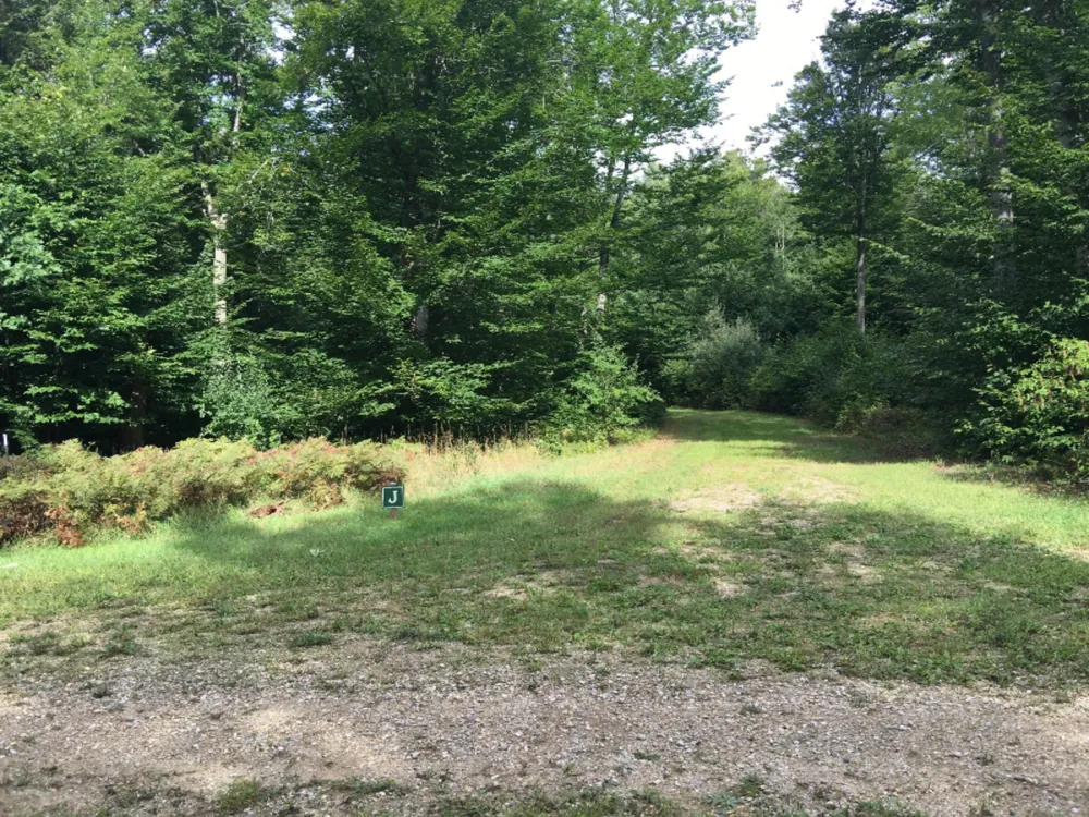 Wildwood Trail Manistee, MI 49660