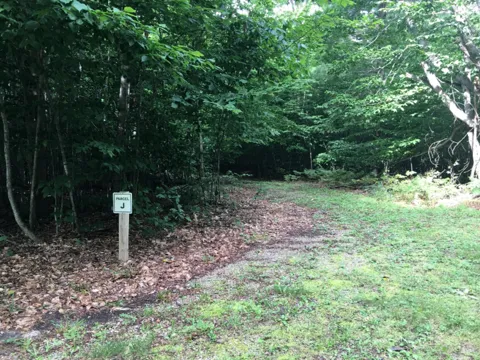Wildwood Trail