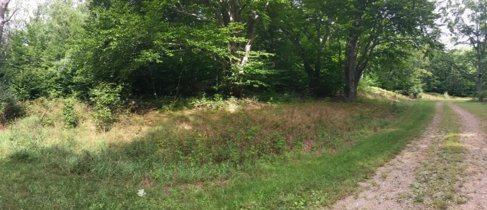 Wildwood Trail Manistee, MI 49660