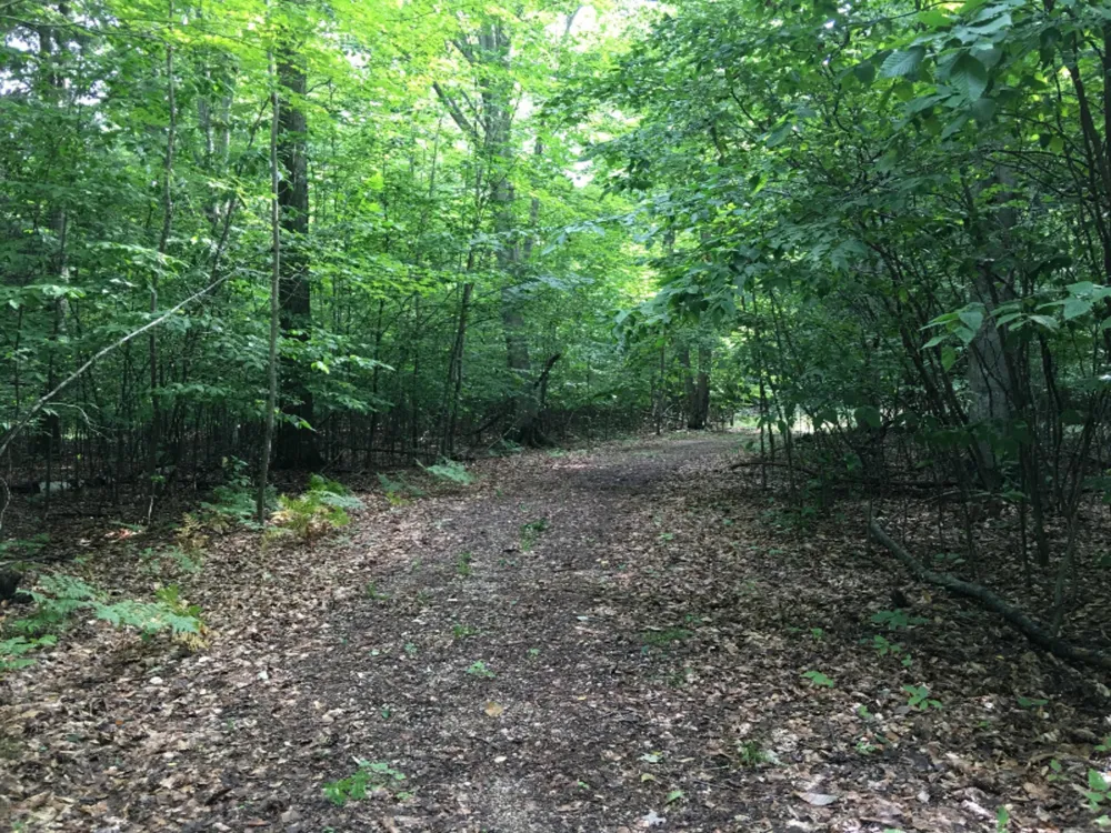 Wildwood Trail Manistee, MI 49660