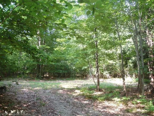 Wildwood Trail Manistee, MI 49660
