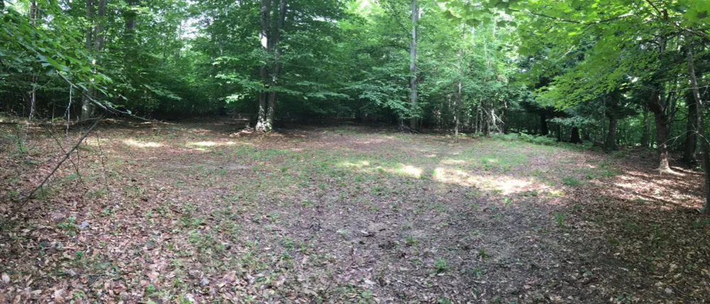 Wildwood Trail Manistee, MI 49660