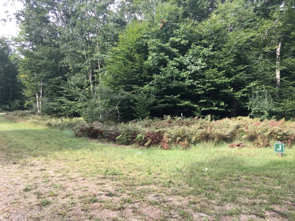 Wildwood Trail Manistee, MI 49660