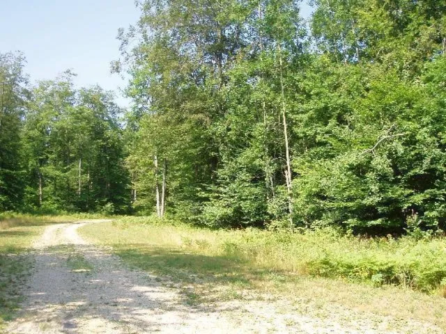 Wildwood Trail Manistee, MI 49660