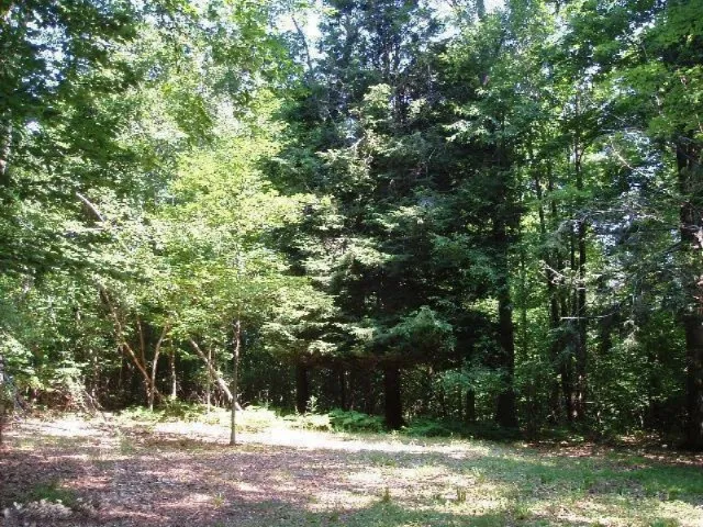 Wildwood Trail Manistee, MI 49660