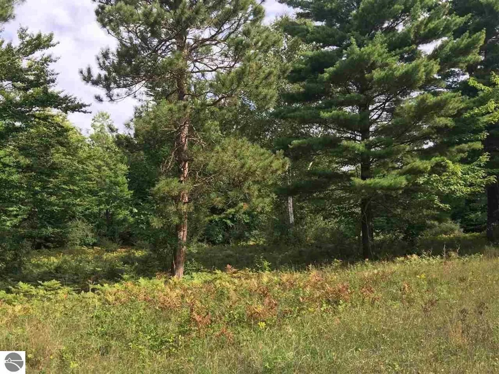 Wildwood Trail Manistee, MI 49660