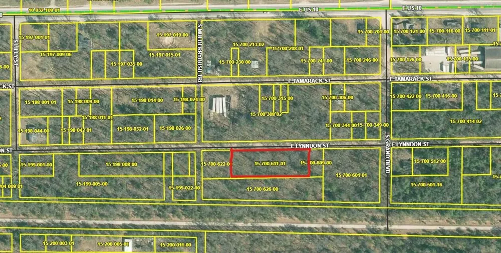 E Lynndon Street Idlewild, MI 49642