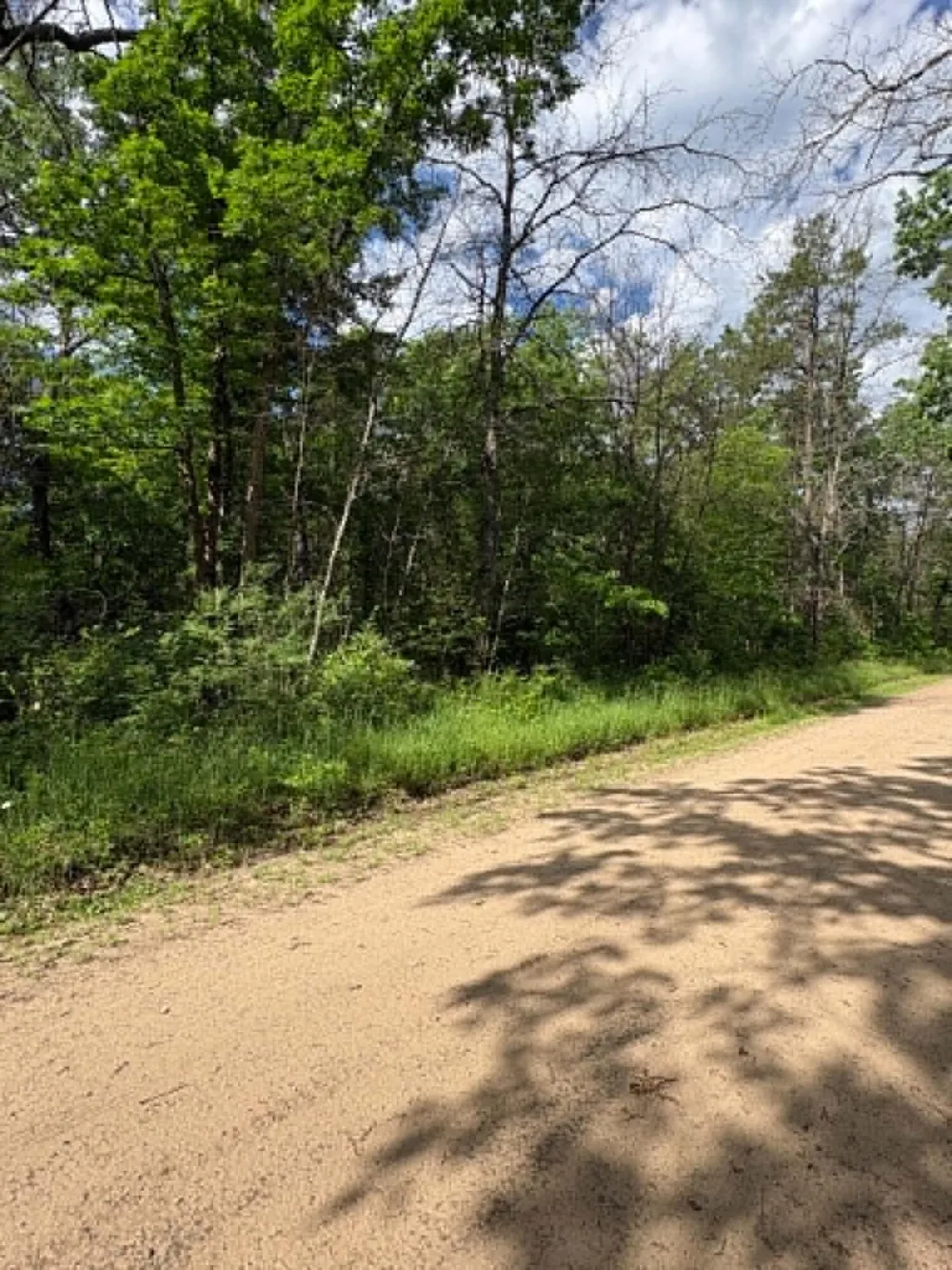 E Lynndon Street Idlewild, MI 49642
