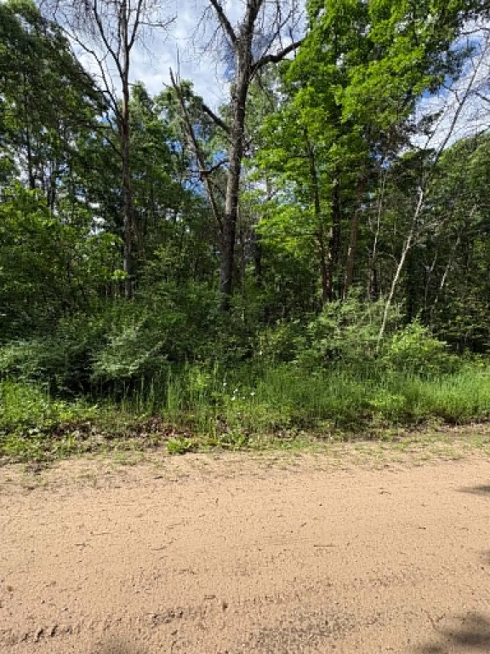 E Lynndon Street Idlewild, MI 49642
