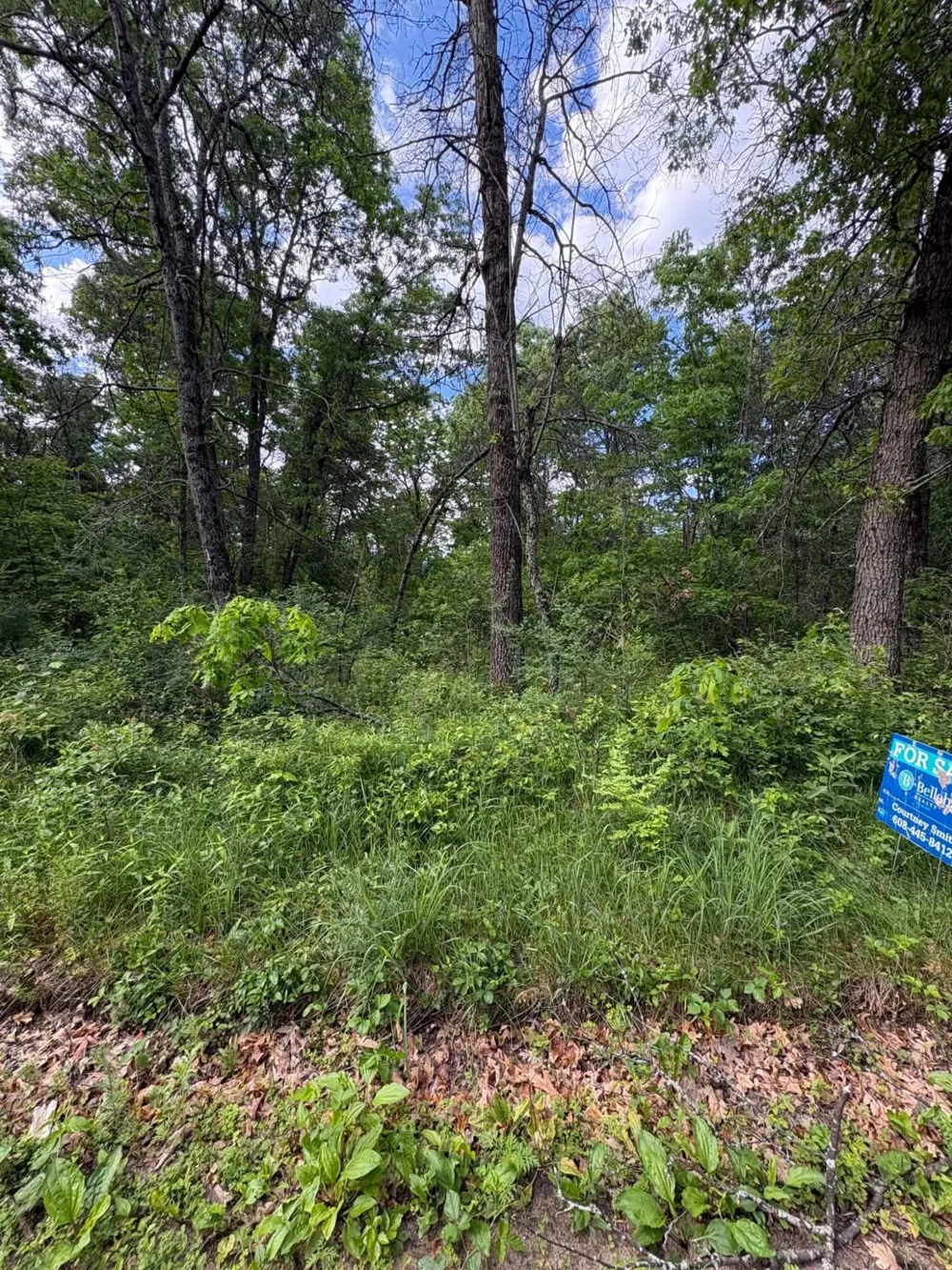 E Lynndon Street Idlewild, MI 49642