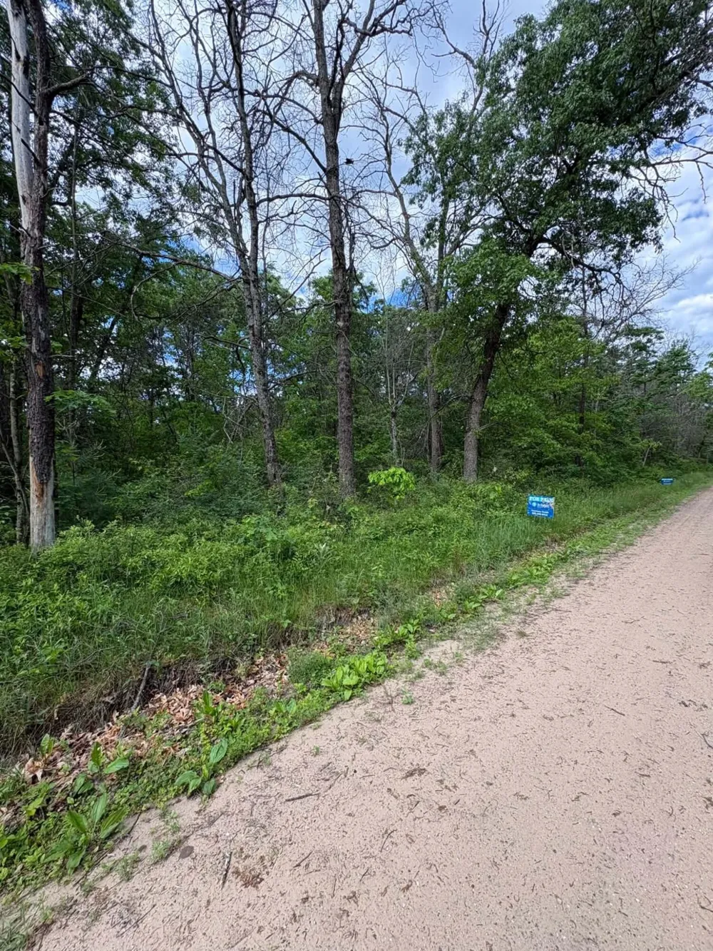 E Lynndon Street Idlewild, MI 49642