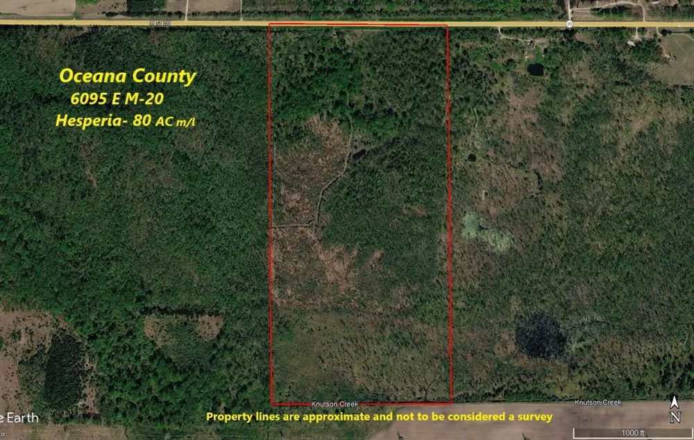 6095 E M 20 Hesperia, MI 49421