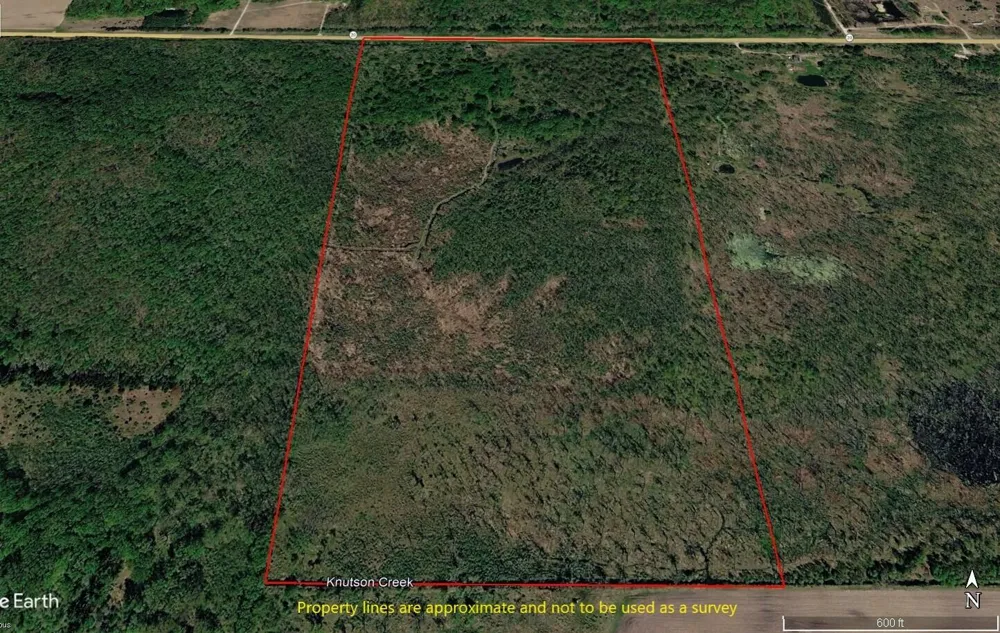 6095 E M 20 Hesperia, MI 49421